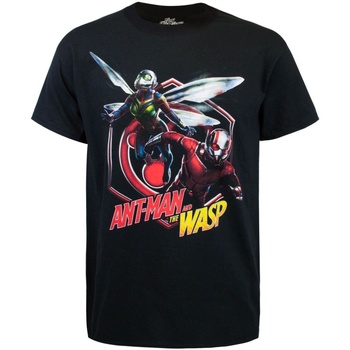 Abbigliamento Uomo T-shirts a maniche lunghe Ant-Man  Nero