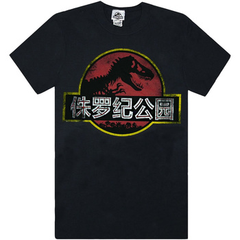 Abbigliamento Uomo T-shirts a maniche lunghe Jurassic Park NS5375 Nero