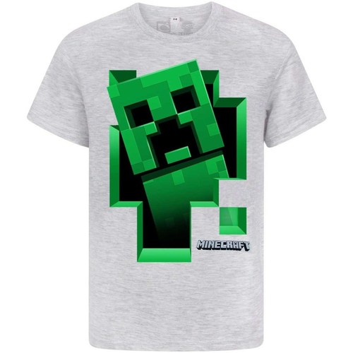 Abbigliamento Bambino T-shirts a maniche lunghe Minecraft Inside Grigio