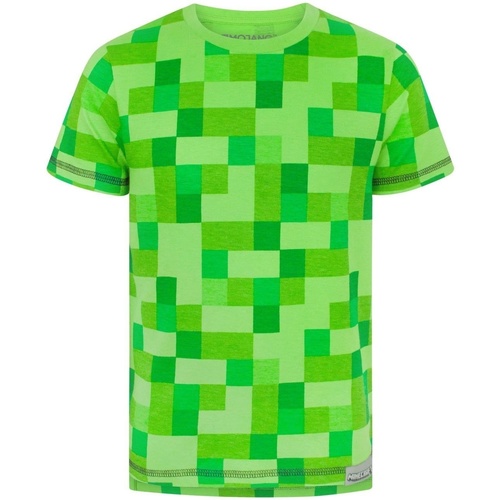 Abbigliamento Bambino T-shirts a maniche lunghe Minecraft NS5417 Verde