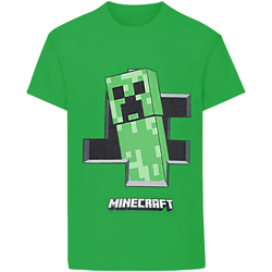 Abbigliamento Bambino T-shirts a maniche lunghe Minecraft Inside Verde