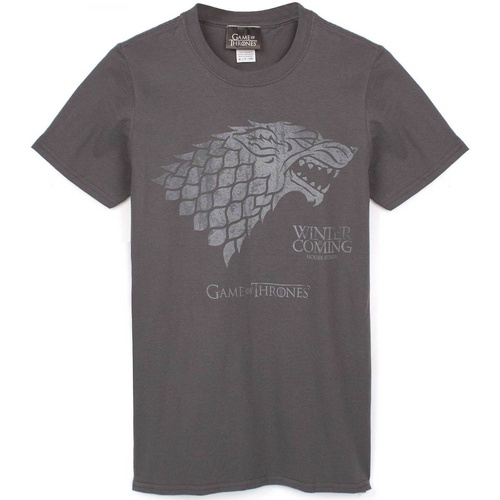 Abbigliamento Uomo T-shirts a maniche lunghe Game Of Thrones Winter Is Coming Grigio