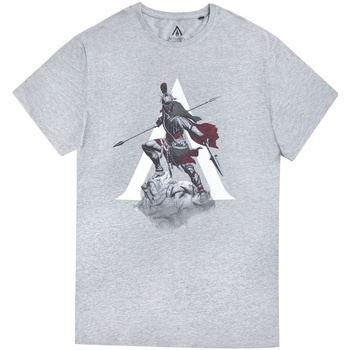 Abbigliamento Uomo T-shirts a maniche lunghe Assassins Creed Odyssey  Grigio