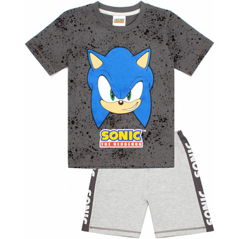 Abbigliamento Bambino Pigiami / camicie da notte Sonic The Hedgehog  Grigio
