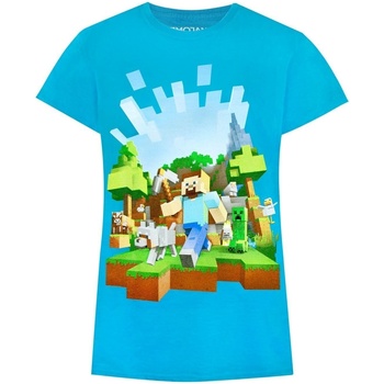 Abbigliamento Bambina T-shirts a maniche lunghe Minecraft Adventure Blu