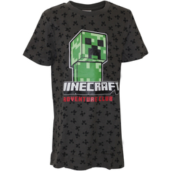 Abbigliamento Bambino T-shirts a maniche lunghe Minecraft NS6001 Grigio