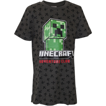 Abbigliamento Bambino T-shirts a maniche lunghe Minecraft  Grigio