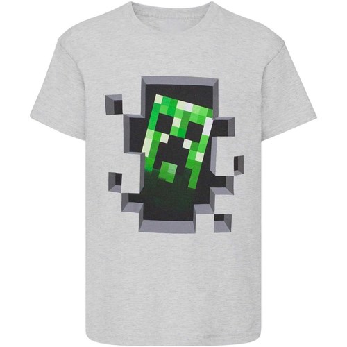 Abbigliamento Bambino T-shirts a maniche lunghe Minecraft NS6016 Grigio