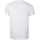Abbigliamento Uomo T-shirt & Polo Canterbury Club Bianco