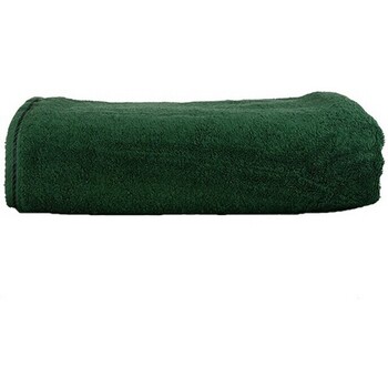 Casa Asciugamano e guanto esfoliante A&r Towels RW6536 Verde