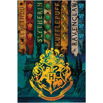 Casa Poster Harry Potter TA359 Multicolore