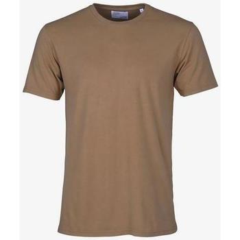 Abbigliamento T-shirt maniche corte Colorful Standard T-shirt  Sahara Camel Marrone