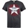 Abbigliamento Uomo T-shirts a maniche lunghe Amplified Star Logo Grigio