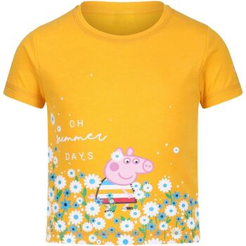 Abbigliamento Unisex bambino T-shirt maniche corte Regatta RG5945 Multicolore