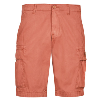 Abbigliamento Uomo Shorts / Bermuda Napapijri NUS Rosso