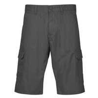 Abbigliamento Uomo Shorts / Bermuda Esprit OCS N Cargo SH Grigio