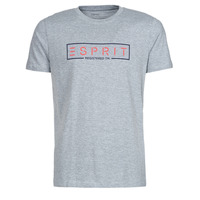 Abbigliamento Uomo T-shirt maniche corte Esprit BCI N cn aw ss Grigio
