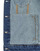 Abbigliamento Donna Giacche in jeans Desigual CHAQ_OLIMPIA Grigio / Chiné / Blu / Jean