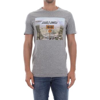 Abbigliamento Uomo T-shirt & Polo Jack & Jones 12138454 SUMMER TEE-LIGHT GREY MELANGE Grigio