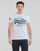 Abbigliamento Uomo T-shirt maniche corte Superdry VL TEE Bianco