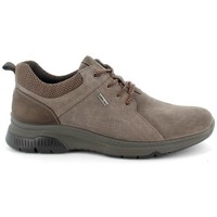 Scarpe Uomo Trekking Enval 8216122 scarpe casual Brown