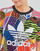 Abbigliamento Donna T-shirt maniche corte adidas Originals REGULAR TSHIRT Multicolore