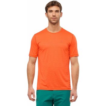 Abbigliamento Uomo T-shirt maniche corte Salomon XA TEE M PUREED Arancio