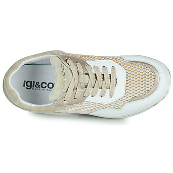 IgI&CO 1661900 Bianco / Oro