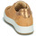 Scarpe Donna Sneakers basse IgI&CO 1659033 Camel