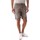 Abbigliamento Uomo Shorts / Bermuda Bomboogie BMSET T GBT-350 DESERT SAGE Verde