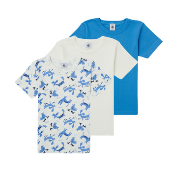 Abbigliamento Bambino T-shirt maniche corte Petit Bateau  Multicolore