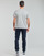 Abbigliamento Uomo T-shirt maniche corte Levi's MT-GRAPHIC TEES Ssnl / Poster / Grigio ghiaia