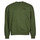 Abbigliamento Uomo Felpe Levi's MT-FLEECE Verde muschio / Green