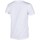 Abbigliamento Donna T-shirt maniche corte Champion Crewneck Tshirt Bianco
