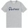 Abbigliamento Uomo T-shirt maniche corte Penfield T-shirt  Bear Chest Grigio