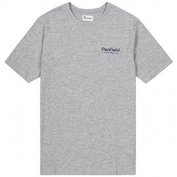 Abbigliamento Uomo T-shirt maniche corte Penfield T-shirt  Hudson Script Grigio