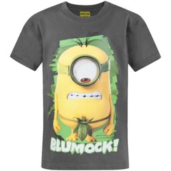 Abbigliamento Unisex bambino T-shirt maniche corte Minions Blumock Grigio