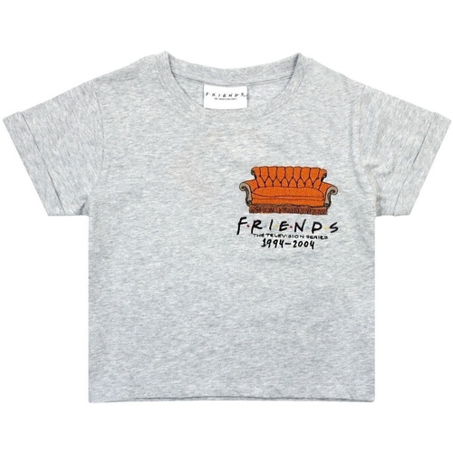 Abbigliamento Bambina T-shirts a maniche lunghe Friends Central Perk Grigio