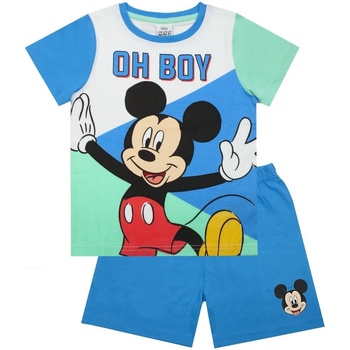 Abbigliamento Bambino Pigiami / camicie da notte Disney NS6217 Verde
