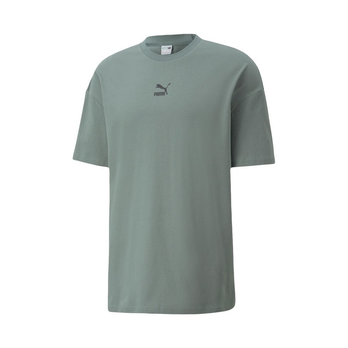 Abbigliamento Uomo T-shirt maniche corte Puma classics boxy tee Verde