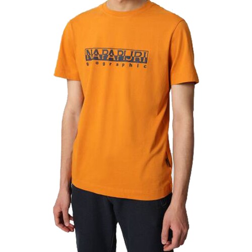 Abbigliamento Uomo T-shirt maniche corte Napapijri 178246 Arancio