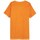 Abbigliamento Uomo T-shirt maniche corte Outhorn TSM603 Arancio