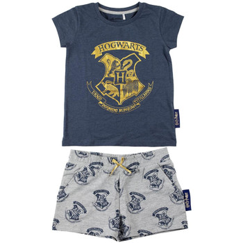 Abbigliamento Bambina Pigiami / camicie da notte Harry Potter 2200007021 Blu