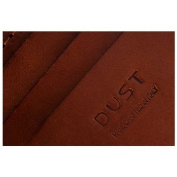 The Dust Company Mod-110-CH Altri