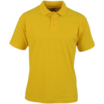 Abbigliamento Uomo T-shirt & Polo Absolute Apparel  Multicolore