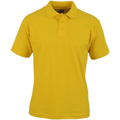 Abbigliamento Uomo T-shirt & Polo Absolute Apparel AB104 Multicolore