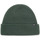 Accessori Cappelli Vans Beanie  MN Core Basics Sycamore Verde