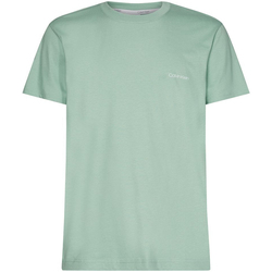 Abbigliamento Uomo T-shirt maniche corte Calvin Klein Jeans K10K103307 Verde