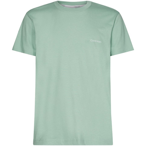 Abbigliamento Uomo T-shirt & Polo Calvin Klein Jeans K10K103307 Verde