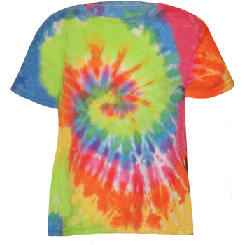 Abbigliamento Unisex bambino T-shirt maniche corte Colortone TD02B Multicolore
